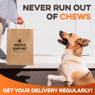 Show full view: Brutus & Barnaby 5-in Gold Himalayan Yak Cheese Natural Dog Chew Treats, 6 count slide 9 of 10