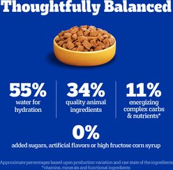 Pedigree Choice Cuts in Gravy Chicken, Bacon, & Cheese Flavors Adult Soft Wet Dog Food, 3.5-oz pouch, case of 16 slide 2 of 9