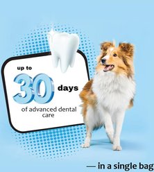Ora-Clens Enzyme-Coated Oral Hygiene Medium Dental Dog Treats, 30 count slide 2 of 9