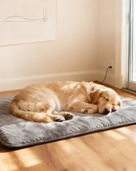 Mora Pets Extra Warm Heated Dog & Cat Bed with Removable Cover, Grey, Large