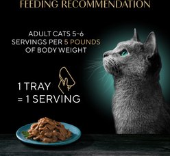 Sheba Grilled in Savory Sauce Variety Pack Adult Cat Wet Food, 2.64-oz tray, 24 count slide 2 of 8