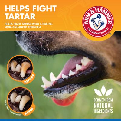 Show full view: Arm & Hammer Products Tartar Control Dental Spray for Dogs, 2 count slide 6 of 8