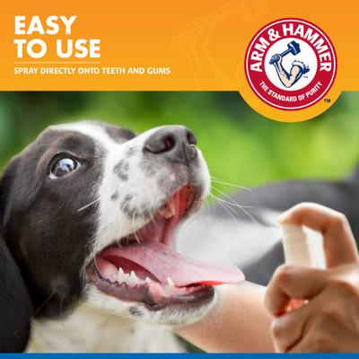 Show full view: Arm & Hammer Products Tartar Control Dental Spray for Dogs, 2 count slide 5 of 8