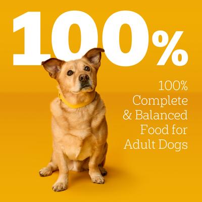 Show full view: Pedigree Choice Cuts in Gravy Chicken, Bacon, & Cheese Flavors Adult Soft Wet Dog Food, 3.5-oz pouch, case of 16 slide 6 of 10