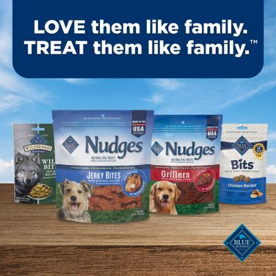 Show full view: Blue Buffalo Nudges Jerky Bites Chicken Jerky Dog Treats, 5-oz bag slide 9 of 11