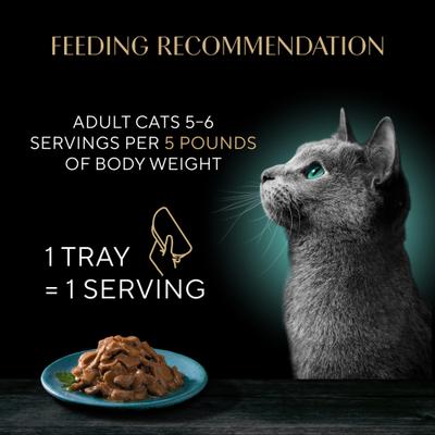 Show full view: Sheba Grilled in Sauce Tender Tuna in Gravy Adult Cat Wet Food, 2.64-oz tray, 24 count slide 8 of 9