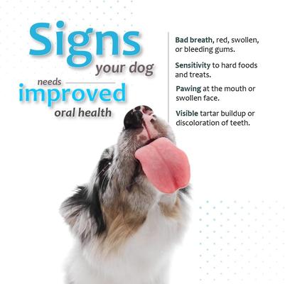 Show full view: Ora-Clens Oral Hygiene Large Enzyme Dental Dog Treats, 30 count slide 9 of 12