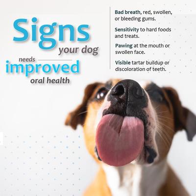 Show full view: Ora-Clens Oral Hygiene Medium Enzyme Dental Dog Treats, 30 count slide 3 of 12