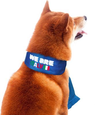 Show full view: Littlearth FIFA World Cup 2026 Fan Dog Scarf, Small, Italy slide 5 of 9
