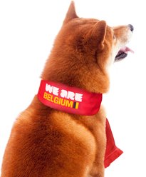 Littlearth FIFA World Cup 2026 Fan Dog Scarf, Small, Belgium slide 2 of 9