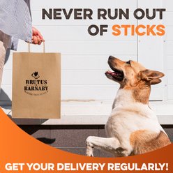 Brutus & Barnaby 12-in Thick Beef Collagen Sticks Dog Treats, 3 count slide 2 of 8
