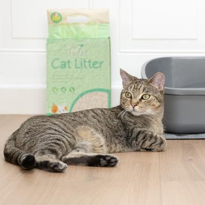 Show full view: Kitty City Tofu Clumping Cat Litter, 6-lb bag slide 9 of 12