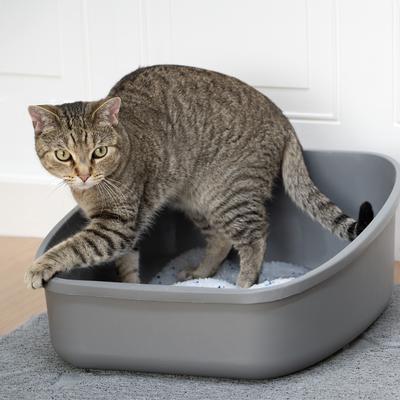 Show full view: Kitty City Crystals Unscented Silicone Cat Litter, 6-lb bag slide 7 of 12