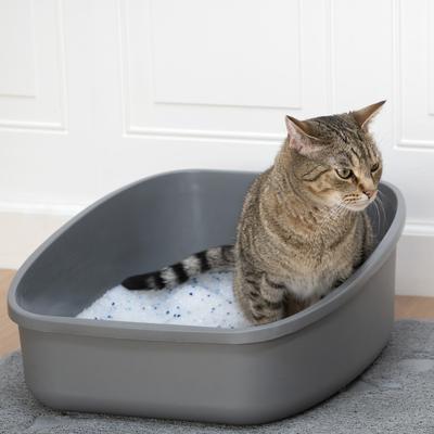 Show full view: Kitty City Crystals Unscented Silicone Cat Litter, 6-lb bag slide 6 of 12