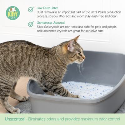 Show full view: Kitty City Crystals Unscented Silicone Cat Litter, 6-lb bag slide 3 of 12