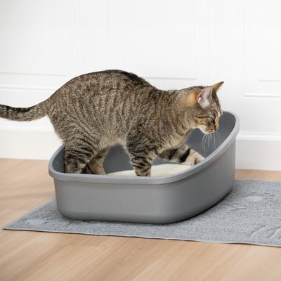 Show full view: Kitty City PH Crystals Unscented Silicone Cat Litter, 6-lb bag slide 10 of 12