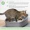 Show in main carousel: Kitty City PH Crystals Unscented Silicone Cat Litter, 6-lb bag slide 6 of 12