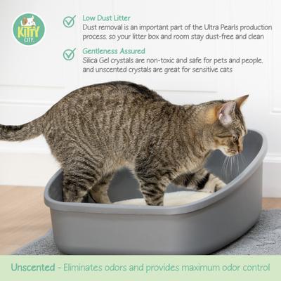 Show full view: Kitty City PH Crystals Unscented Silicone Cat Litter, 6-lb bag slide 6 of 12