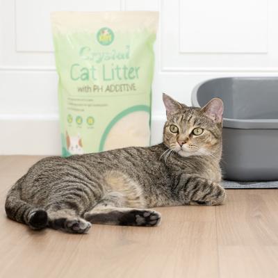 Show full view: Kitty City PH Crystals Unscented Silicone Cat Litter, 6-lb bag slide 8 of 12