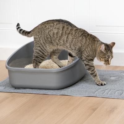 Show full view: Kitty City PH Tofu Clumping Cat Litter, 6-lb bag slide 10 of 12