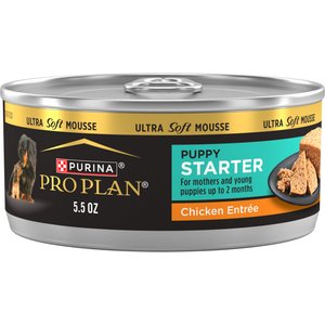 Purina Pro Plan Puppy Mousse Starter Chicken Entree Wet Dog Food, 5.5-oz box, case of 24
