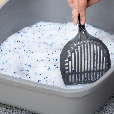 Show full view: Kitty City Crystals Unscented Silicone Cat Litter, 6-lb bag slide 9 of 12