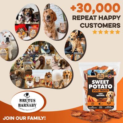 Show full view: Brutus & Barnaby Sweet Potato Half Slices Grain-Free Dehydrated Dog Treats, 10-oz bag slide 3 of 10