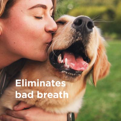 Show full view: Wondercide Rescue Oral Spray Liquid Supplement for Dogs & Cats, 8-fl oz slide 6 of 8