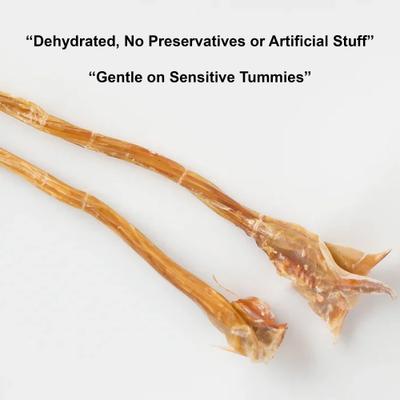 Show full view: Pawtitas Ostrich Tendon Strips High-Protein Dog Chews, 4-oz slide 7 of 8