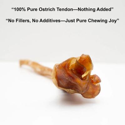 Show full view: Pawtitas Ostrich Tendon Strips High-Protein Dog Chews, 4-oz slide 6 of 8