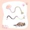 Show in main carousel: Happy & Polly Interactive Chew & Scratch Teaser Plush Cat Toy with Sisal Rope, 2 count, Pink/Cloud slide 4 of 6