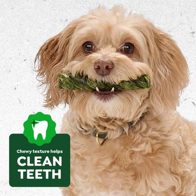 Show full view: Greenies Occupy Twists Petite Natural Chicken Flavor Adult Dental Dog Treats, 10 count slide 9 of 10