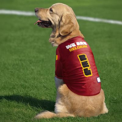 Show full view: Littlearth FIFA World Cup 2026 Stretch Dog Jersey, Large, Belgium slide 2 of 7