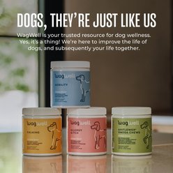 WagWell Allergy & Itch Chews Supplement for Dogs, 60 count slide 2 of 8