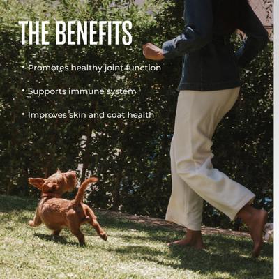 Show full view: WagWell Ahiflower Omega Chews Supplement for Dogs, 60 count slide 5 of 10