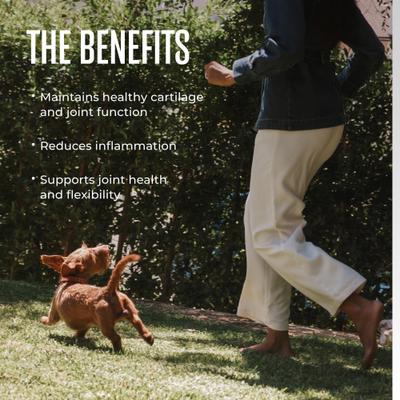 Show full view: WagWell Mobility Chews Supplement for Dogs, 60 count slide 5 of 10