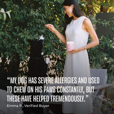 Show full view: WagWell Allergy & Itch Chews Supplement for Dogs, 60 count slide 6 of 9