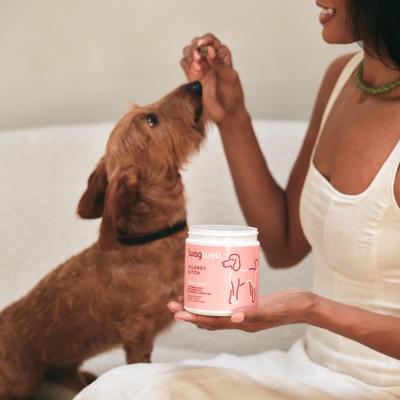 Show full view: WagWell Allergy & Itch Chews Supplement for Dogs, 60 count slide 7 of 9