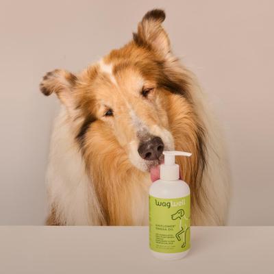 Show full view: WagWell Ahiflower Omega Oil Liquid Supplement for Dogs, 8-fl oz bottle slide 7 of 10