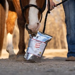 Med-Vet Pharmaceuticals (MVP) Amino 15X Powder Horse Supplement, 1.5-lb slide 2 of 5