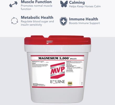 Show full view: Med-Vet Pharmaceuticals (MVP) Magnesium 5000 Pellets Horse Supplement, 20-lb slide 3 of 4