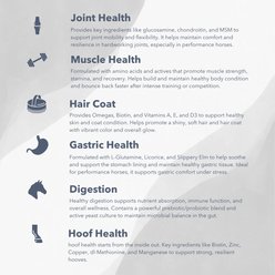 Med-Vet Pharmaceuticals (MVP) Exceed 6-Way Pellets Horse Supplement, 16-lb slide 2 of 5