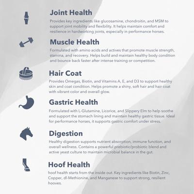 Show full view: Med-Vet Pharmaceuticals (MVP) Exceed 6-Way Pellets Horse Supplement, 8-lb slide 3 of 5