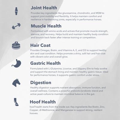 Show full view: Med-Vet Pharmaceuticals (MVP) Exceed 6-Way Pellets Horse Supplement, 16-lb slide 3 of 5