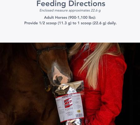 Show full view: Med-Vet Pharmaceuticals (MVP) Amino 15X Powder Horse Supplement, 3-lb slide 4 of 6