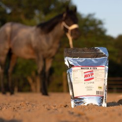 Med-Vet Pharmaceuticals (MVP) Biotin II-22X Pellets Horse Supplement, 5-lb slide 2 of 3
