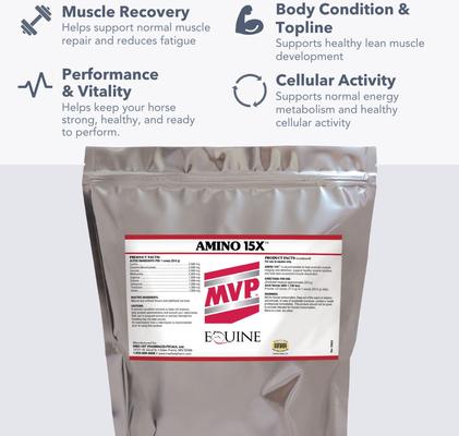 Show full view: Med-Vet Pharmaceuticals (MVP) Amino 15X Powder Horse Supplement, 3-lb slide 3 of 6