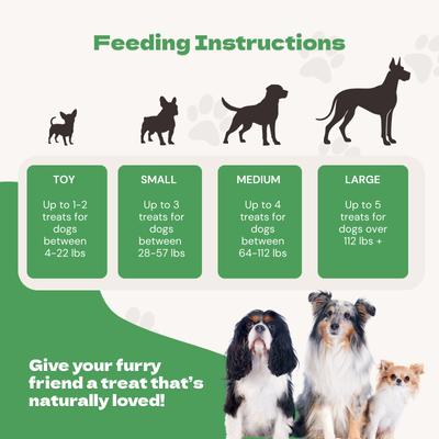 Show full view: Jack PetPals Jack’s Favorite Crafted Grain-Free Duck Breast Jerky Dog Treats, 12-oz slide 9 of 10