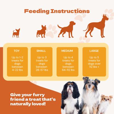 Show full view: Jack PetPals Jack's Favorite Crafted Grain-Free Chicken Breast Jerky Dog Treats, 12-oz slide 9 of 10