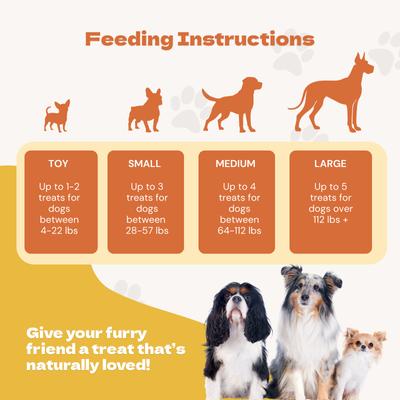 Show full view: Jack PetPals Jack’s Favorite Crafted Bite Grain-Free Chicken Sweet Potato Dehydrated Dog Treats, 12-oz slide 9 of 10